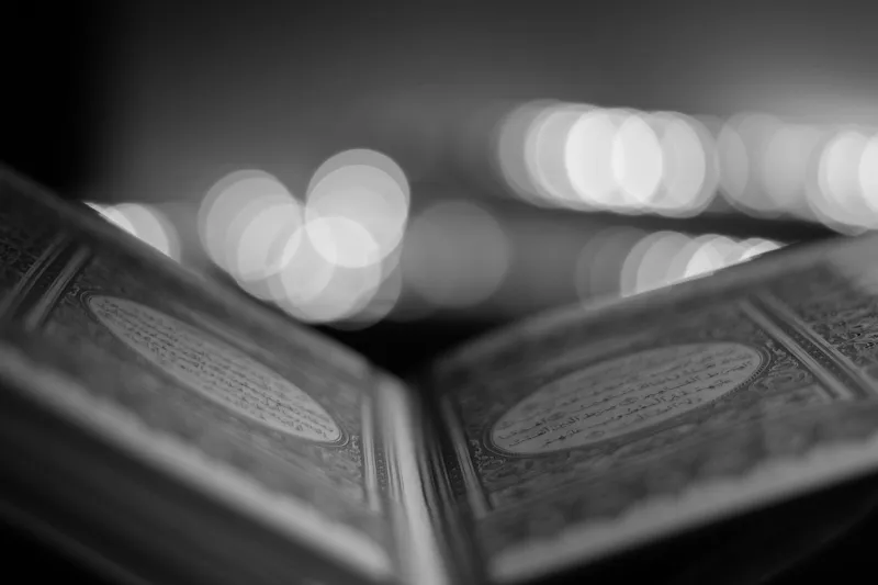 Reading Sideways: Why English Shayari Asks More of You Than the Poetry You Already Know