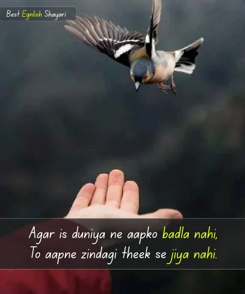 2 Line Shayari on Life in Hindi English