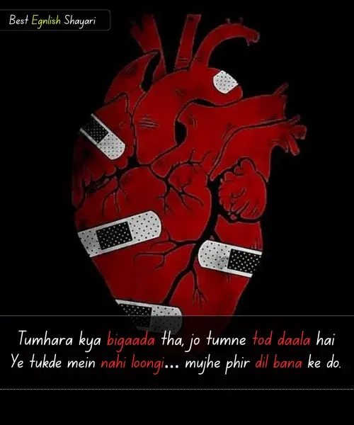 Broken Heart Shayari in English