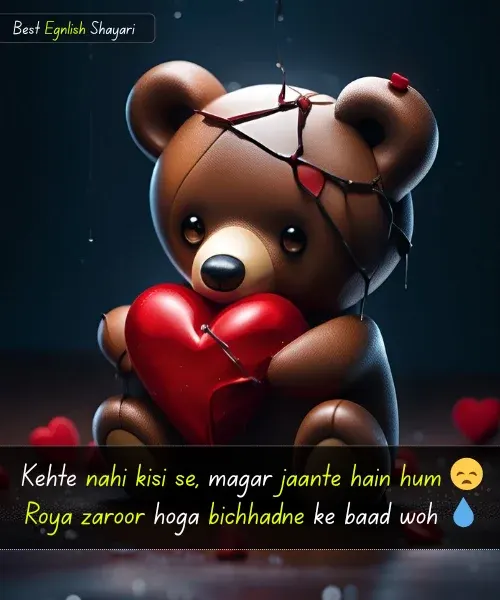 Emotional Heart Touching Sad Shayari in English